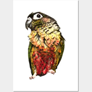 Green Cheek Conure Parrot Bird design, Love for birds Posters and Art